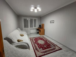 Apartment on the Abay avenue house#48